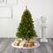 5ft. Pre-Lit Sierra Spruce Artificial Christmas Tree, Clear LED Lights